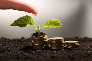 Photo of Money growth concept. Woman dripping water onto coins and sprout in soil, closeup