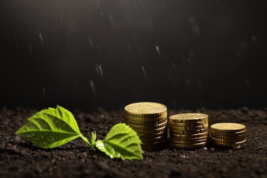 Photo of Money growth concept. Water dripping on coins and sprout in soil