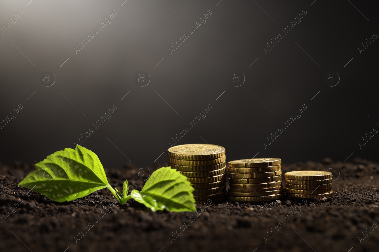 Photo of Money growth concept. Coins and sprout in soil on dark background, closeup. Space for text