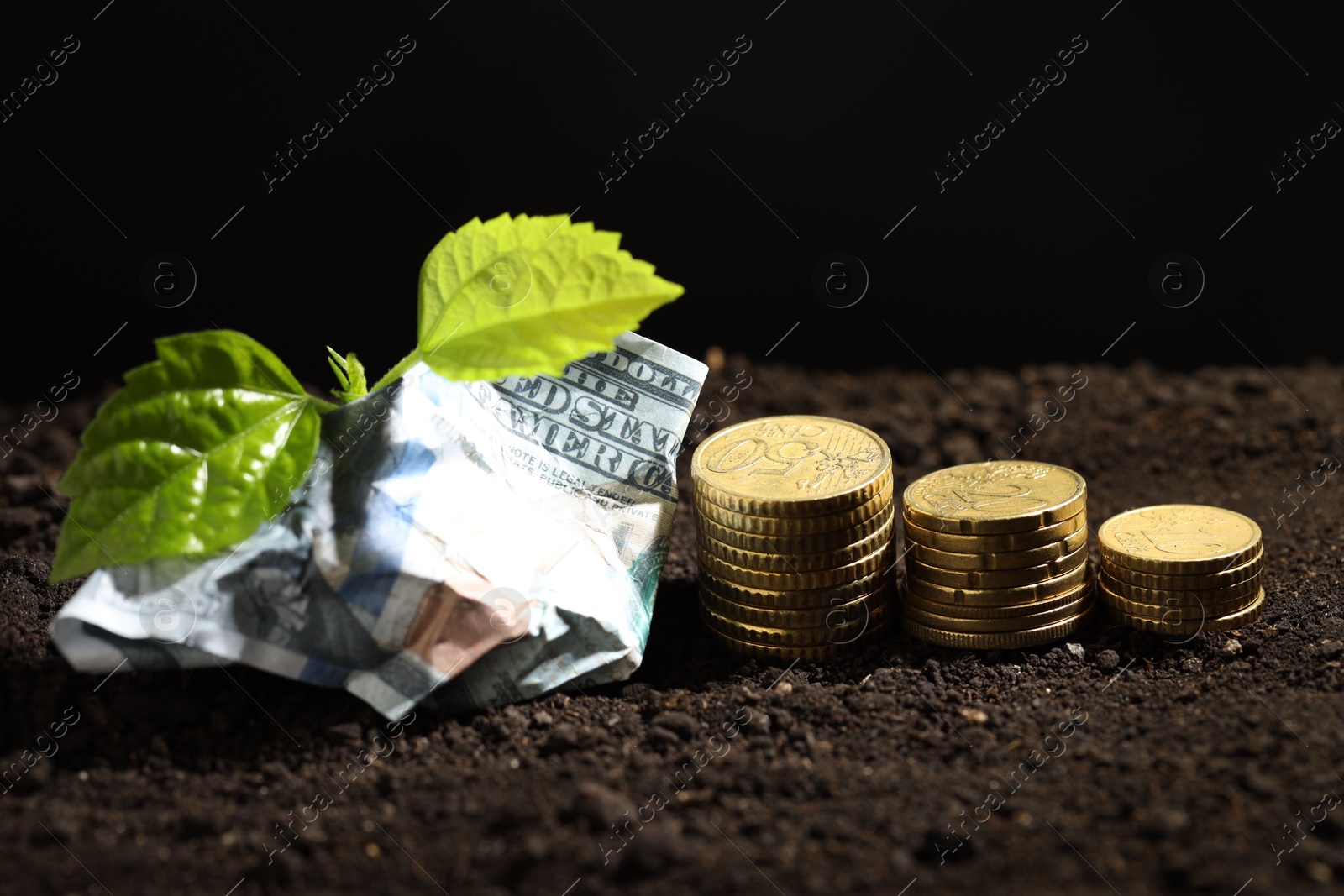 Photo of Money growth concept. Coins, dollar banknote and sprout in soil, closeup