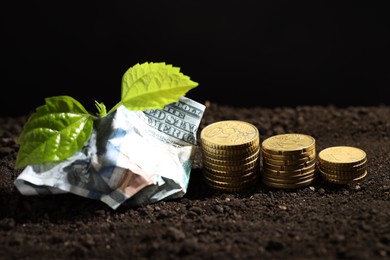 Photo of Money growth concept. Coins, dollar banknote and sprout in soil, closeup