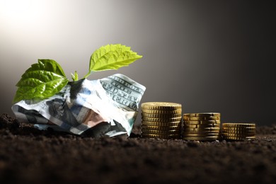 Photo of Money growth concept. Coins, dollar banknote and sprout in soil, closeup. Space for text