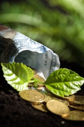 Photo of Money growth concept. Coins, dollar banknote and sprout in soil, closeup