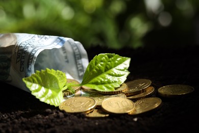 Photo of Money growth concept. Coins, dollar banknote and sprout in soil, closeup