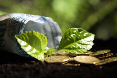 Photo of Money growth concept. Coins, dollar banknote and sprout in soil, closeup