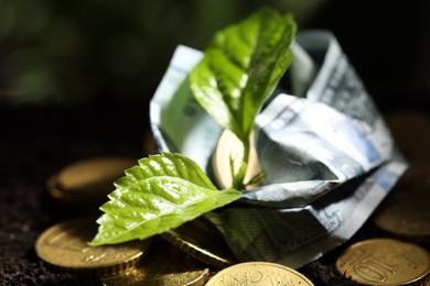 Photo of Money growth concept. Coins, dollar banknote and sprout in soil, closeup