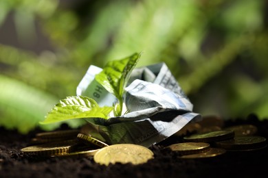 Photo of Money growth concept. Coins, dollar banknote and sprout in soil, closeup