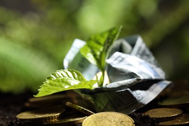 Photo of Money growth concept. Coins, dollar banknote and sprout in soil, closeup