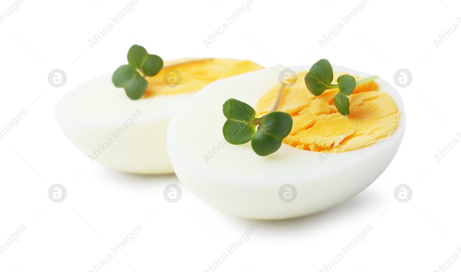 Photo of Halves of hard boiled egg isolated on white