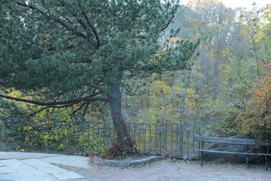 Photo of Park with beautiful trees, benches and walkway on autumn day