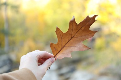 Photo of Woman holding beautiful brown leaf outdoors, closeup. Autumn season