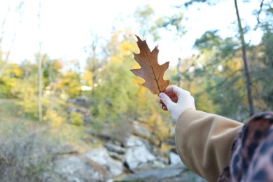 Photo of Woman holding beautiful brown leaf outdoors, closeup. Autumn season