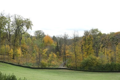 Photo of Beautiful park with trees in autumn. Picturesque landscape