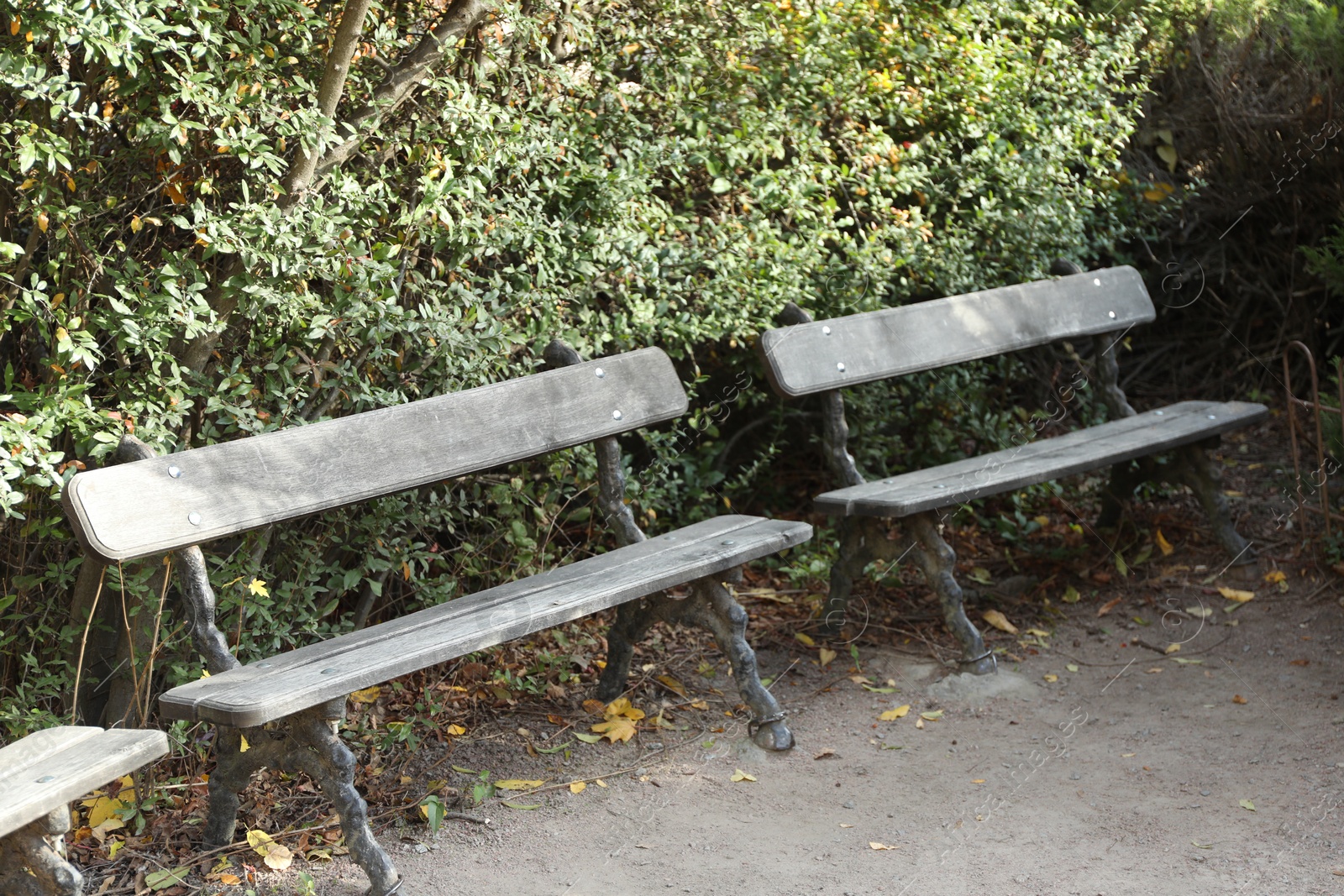 Photo of Benches near walkway in park on autumn day