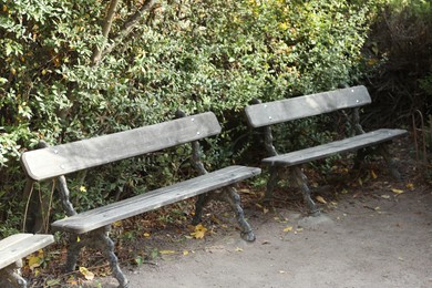 Photo of Benches near walkway in park on autumn day