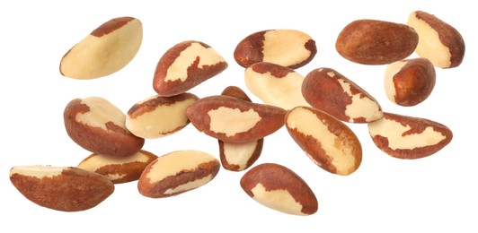 Image of Many Brazil nuts in air on white background