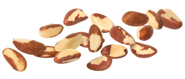 Image of Many Brazil nuts in air on white background