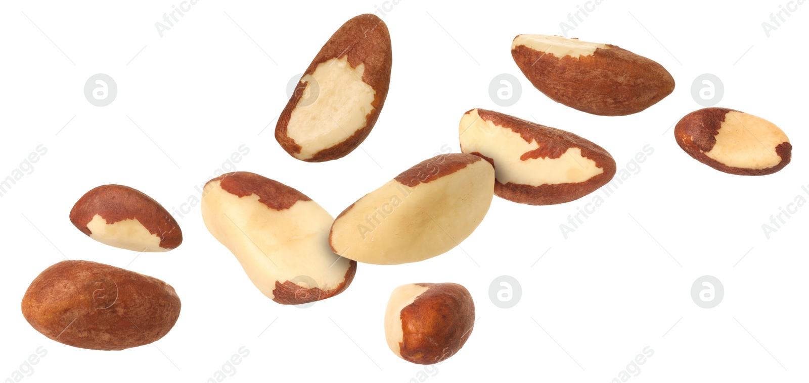 Image of Many Brazil nuts in air on white background