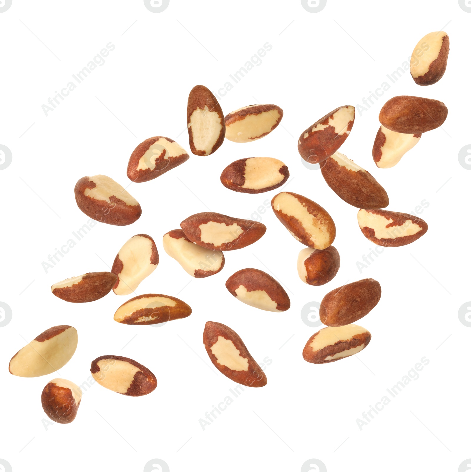 Image of Many Brazil nuts in air on white background