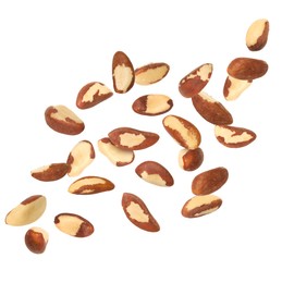 Image of Many Brazil nuts in air on white background