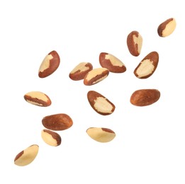 Image of Many Brazil nuts in air on white background