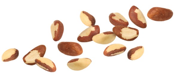 Image of Many Brazil nuts in air on white background