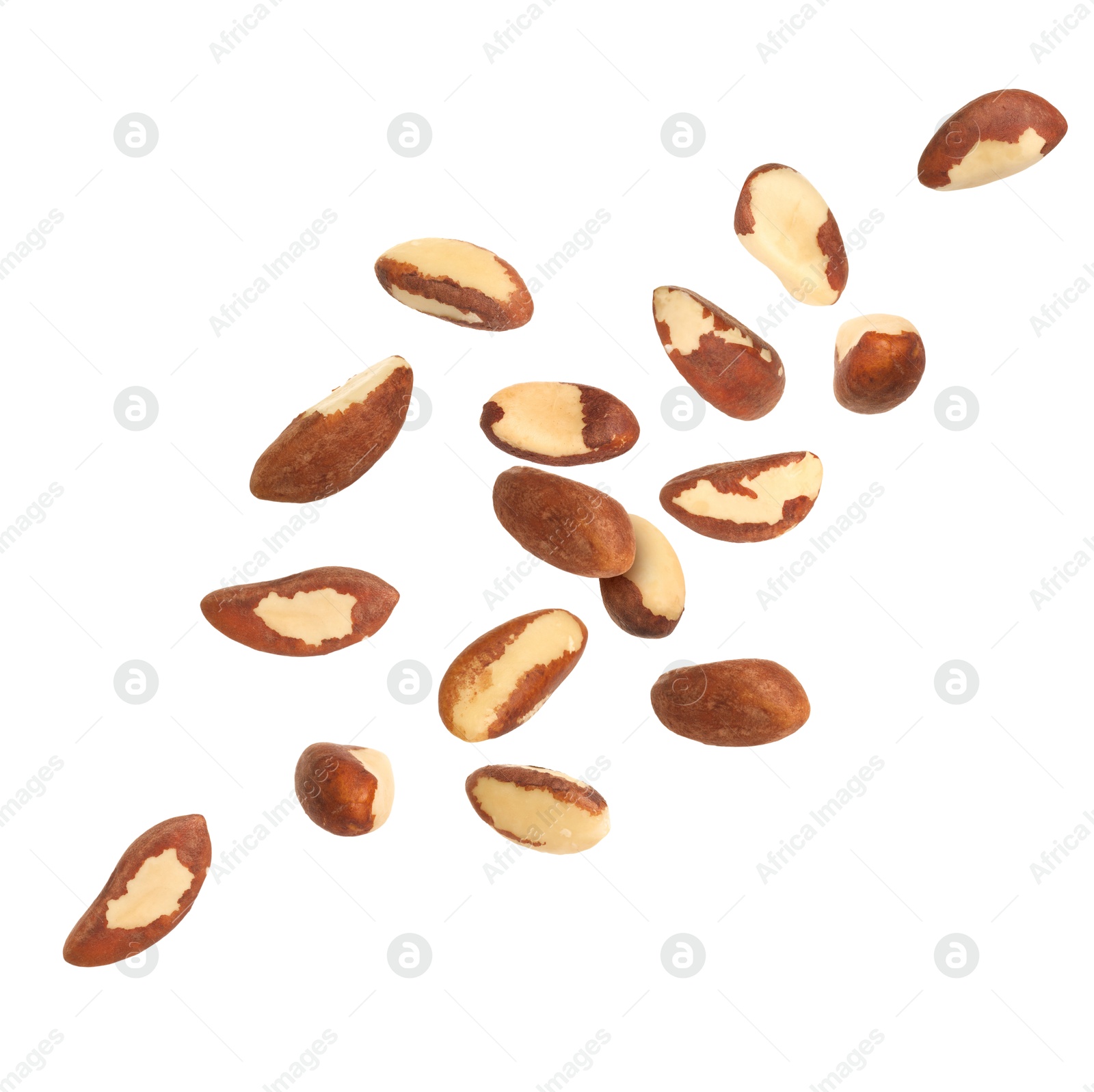 Image of Many Brazil nuts in air on white background