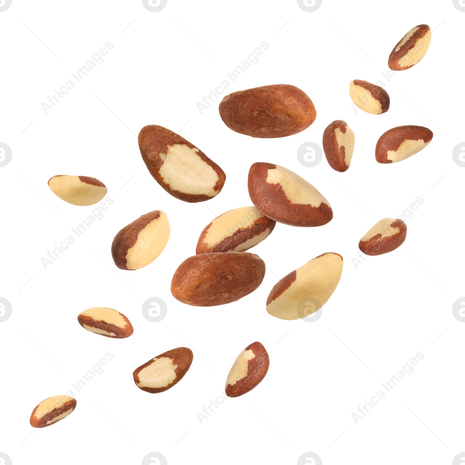 Image of Many Brazil nuts in air on white background