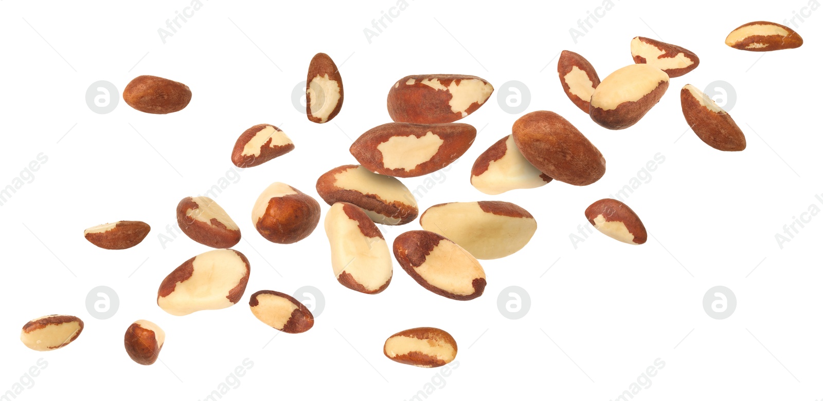 Image of Many Brazil nuts in air on white background