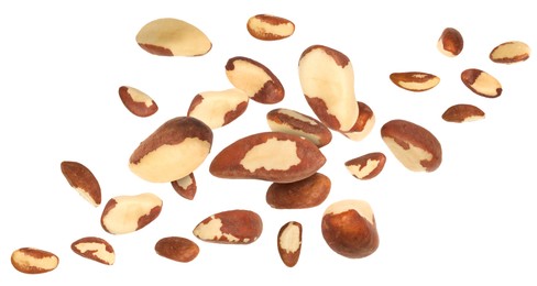 Image of Many Brazil nuts in air on white background