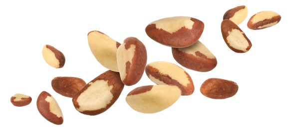 Image of Many Brazil nuts in air on white background