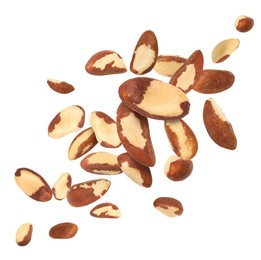 Image of Many Brazil nuts in air on white background