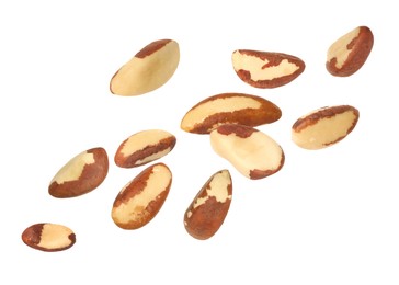 Image of Many Brazil nuts in air on white background