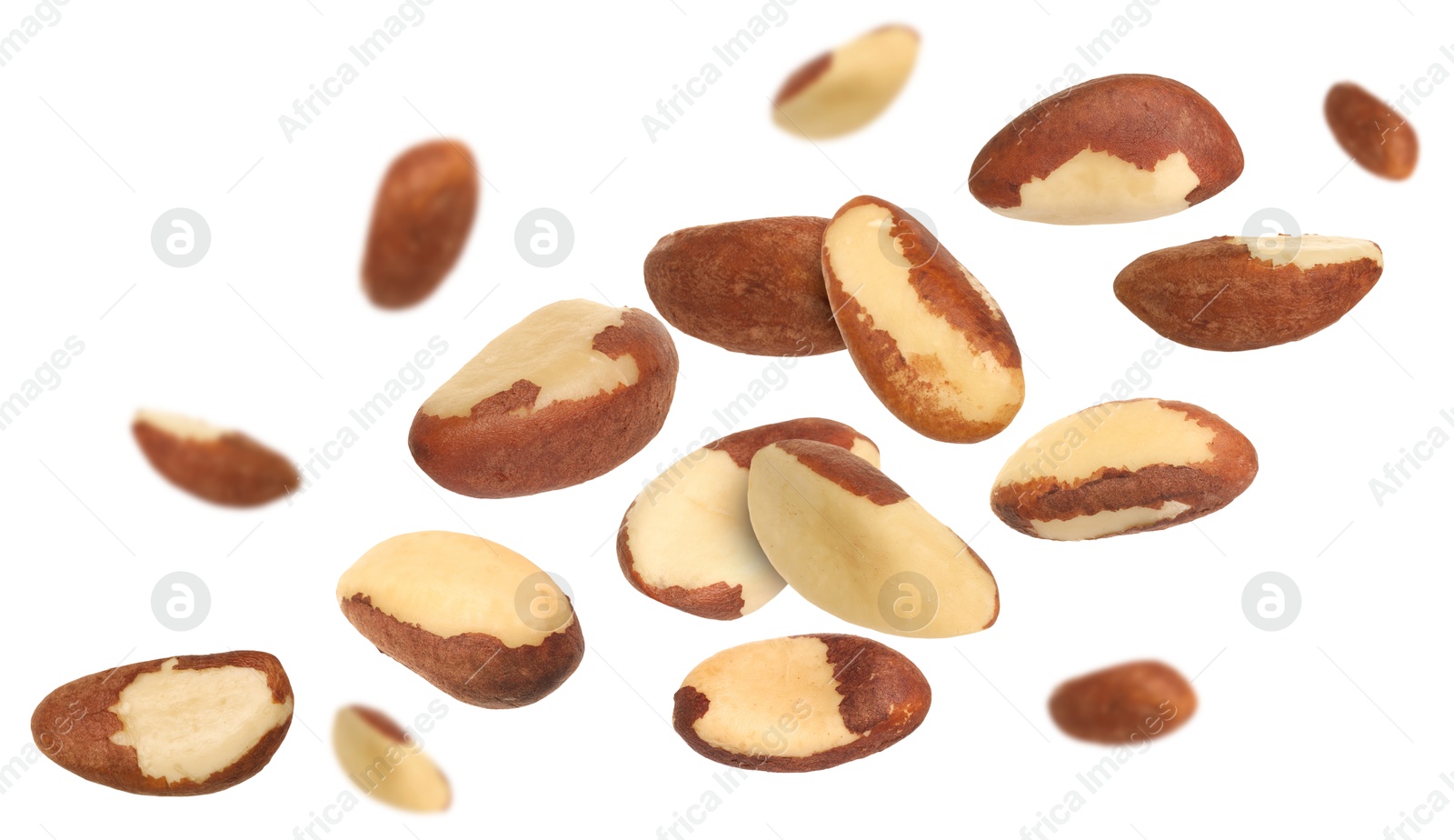 Image of Many Brazil nuts in air on white background