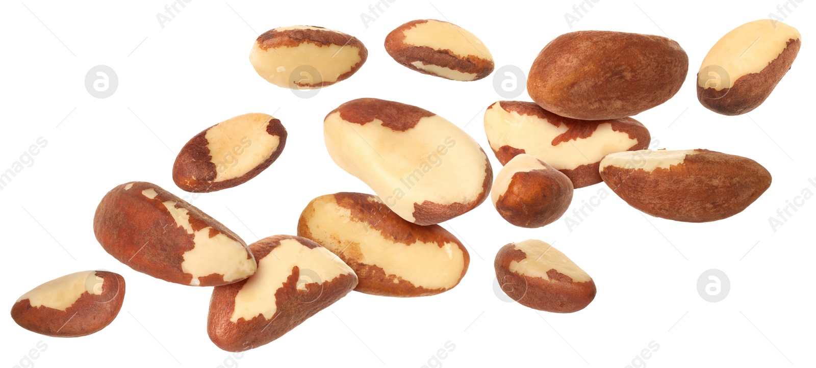 Image of Many Brazil nuts in air on white background