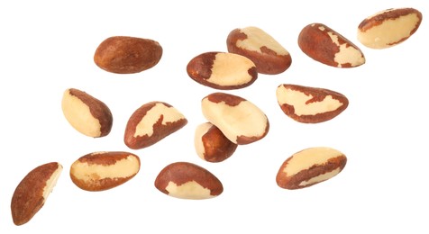 Image of Many Brazil nuts in air on white background