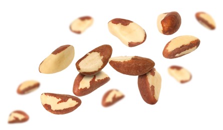 Image of Many Brazil nuts in air on white background