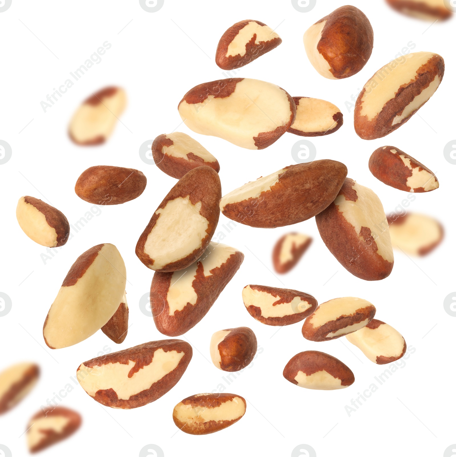 Image of Many Brazil nuts in air on white background