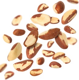 Image of Many Brazil nuts in air on white background