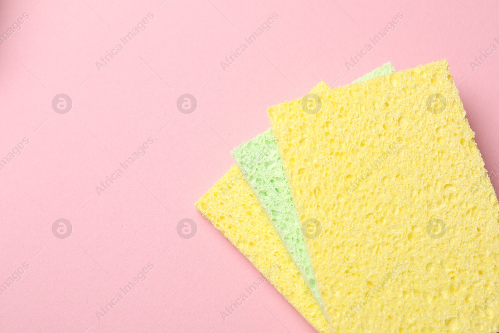 Photo of Soft sponges on pink background, top view. Space for text