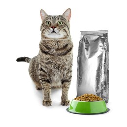 Image of Cute cat sitting near foil package and bowl of dry pet food on white background