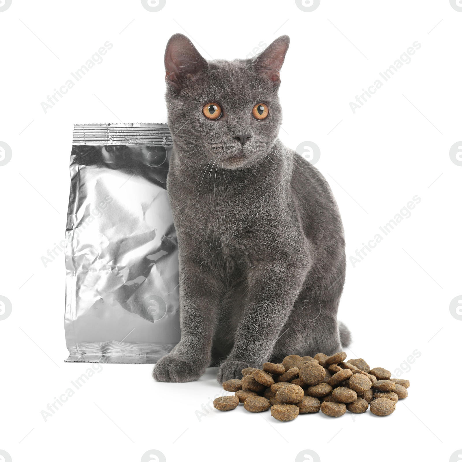 Image of Cute kitten sitting near foil package and heap of dry pet food on white background