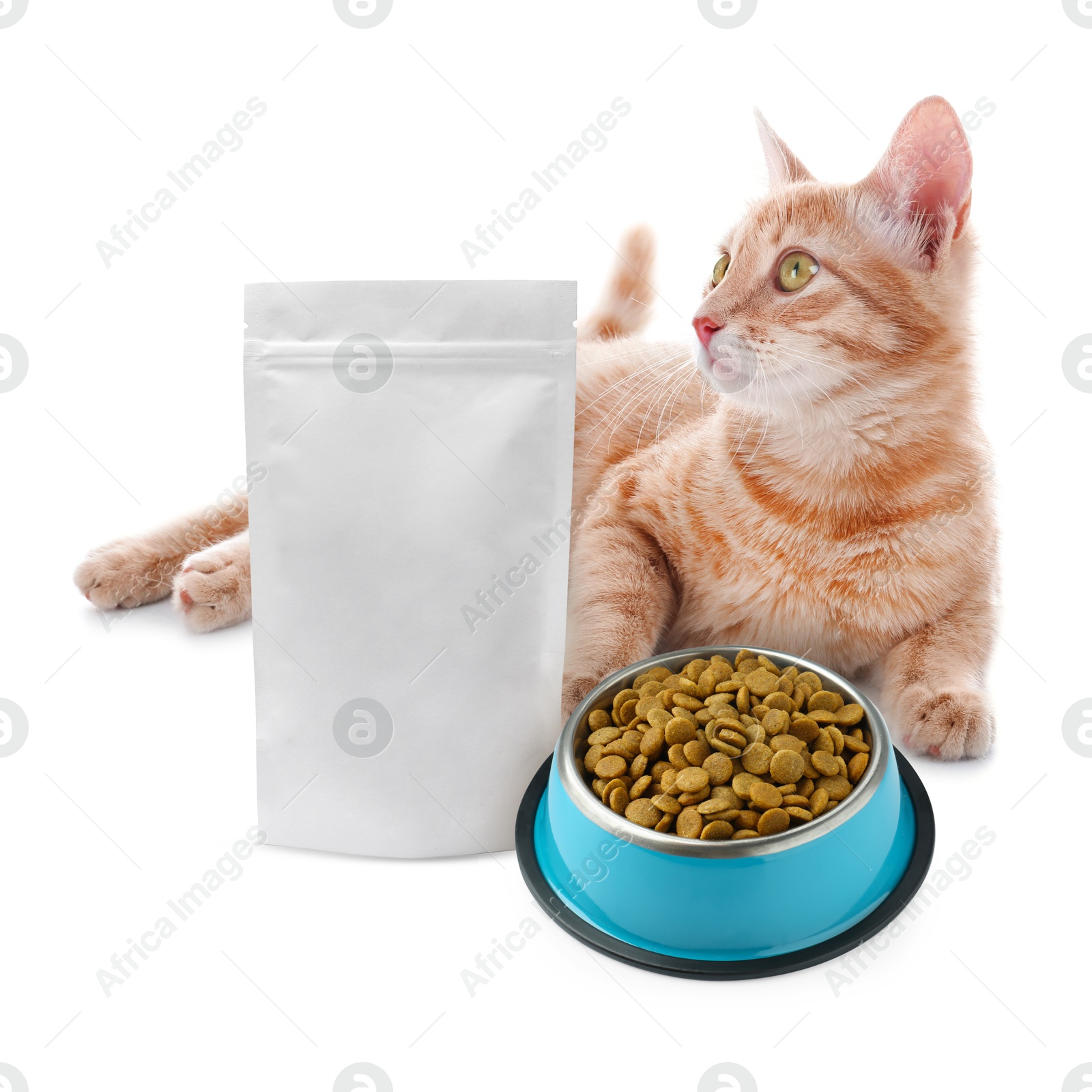 Image of Cute cat lying near package and bowl of dry pet food on white background