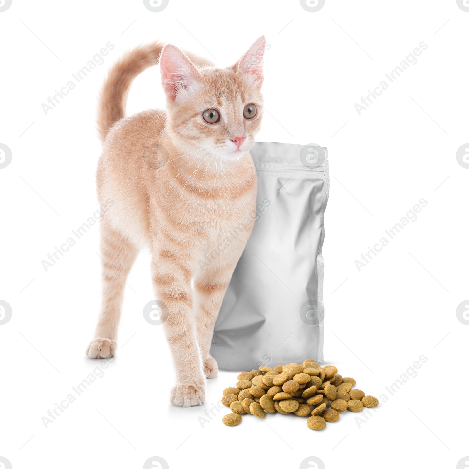 Image of Cute cat, foil package and heap of dry pet food on white background