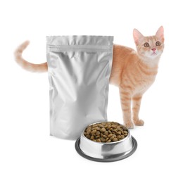 Image of Cute cat, foil package and bowl of dry pet food on white background