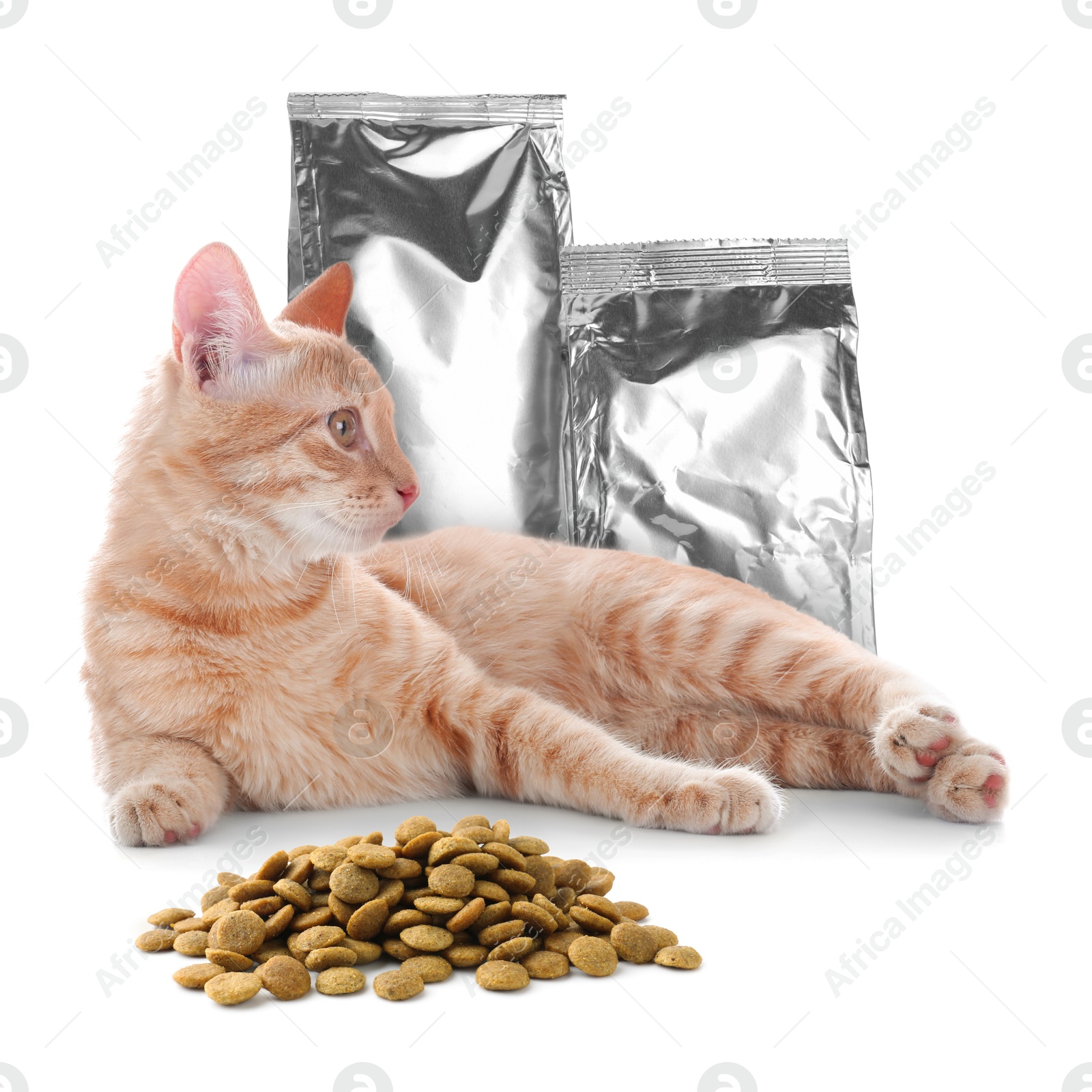 Image of Cute cat lying near foil packages and heap of dry pet food on white background