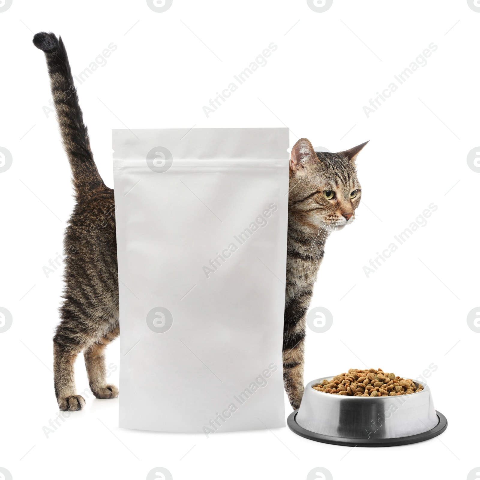 Image of Cute cat, package and bowl of dry pet food on white background