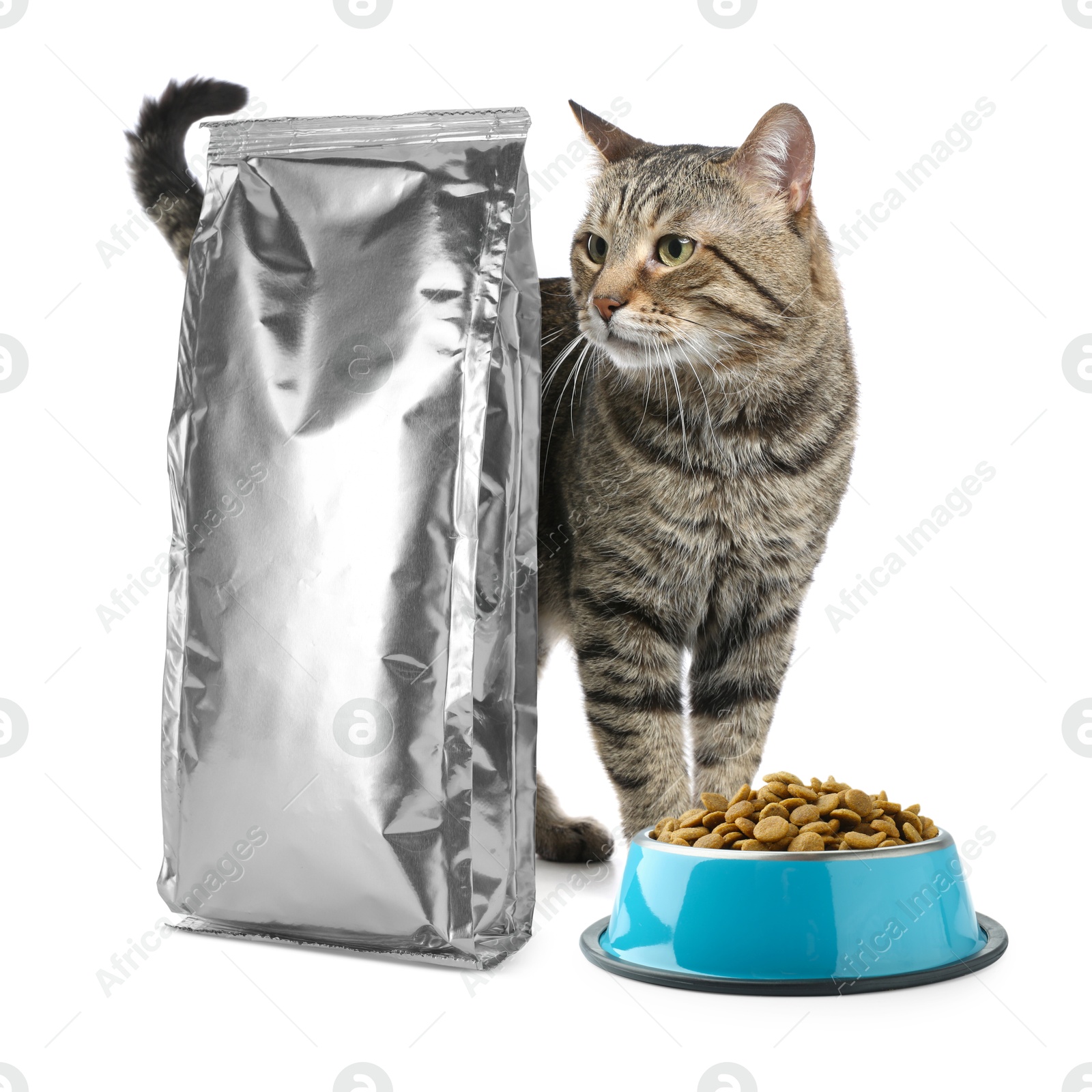 Image of Cute cat, foil package and bowl of dry pet food on white background