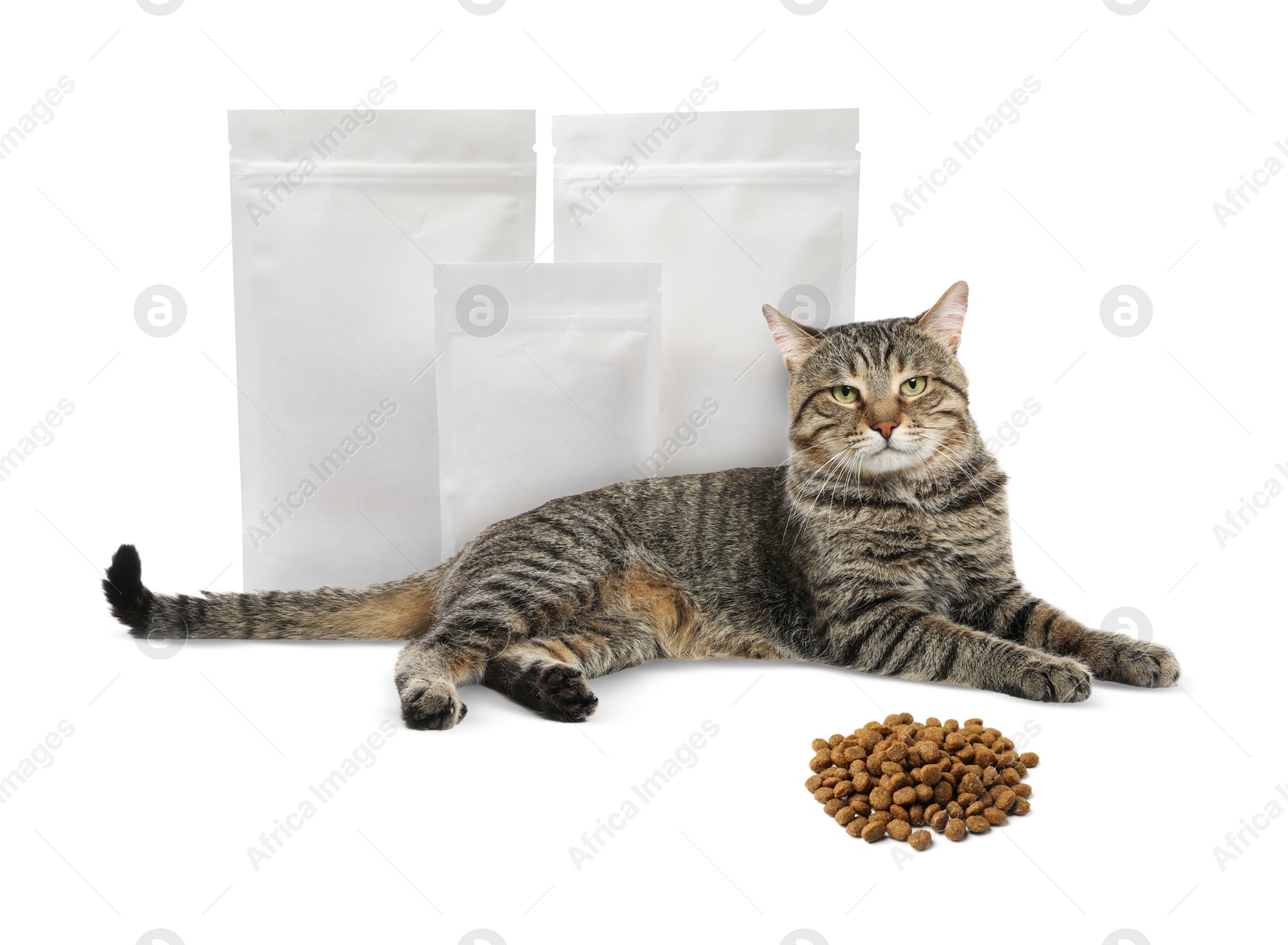 Image of Cute cat lying near packages and heap of dry pet food on white background