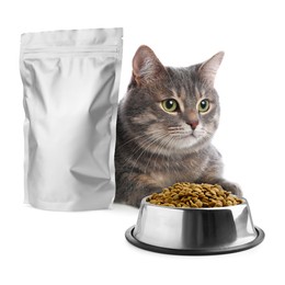 Image of Cute cat lying near foil package and bowl of dry pet food on white background